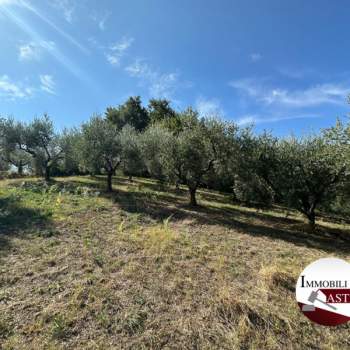 Terreno in vendita a Velletri (Roma)