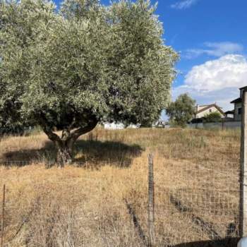 Terreno in vendita a Roma (Roma)