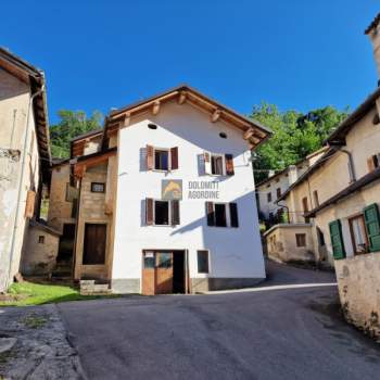 Casa singola in vendita a Gosaldo (Belluno)