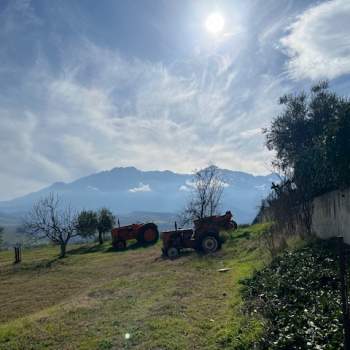 Casa singola in vendita a Colledara (Teramo)