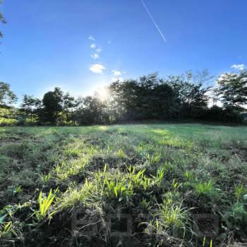 Terreno in vendita a Soriso (Novara)