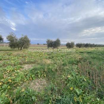 Terreno in vendita a Castiglione del Lago (Perugia)