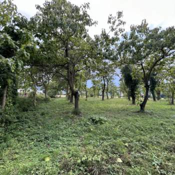 Terreno in vendita a Torreglia (Padova)