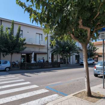 Attivita commerciale in vendita a Olbia (Sassari)