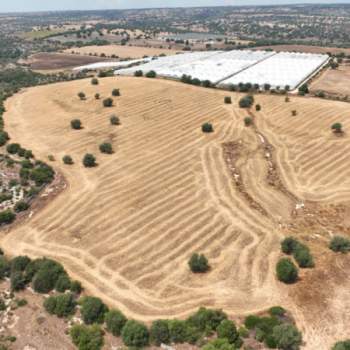 Terreno in vendita a Noto (Siracusa)