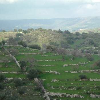 Terreno in vendita a Modica (Ragusa)