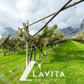 Terreno in vendita a Salorno sulla strada del vino/Salurn an der Weinstraße (Bolzano/Bozen)