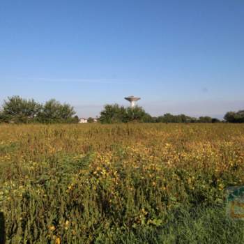 Terreno in vendita a Visco (Udine)