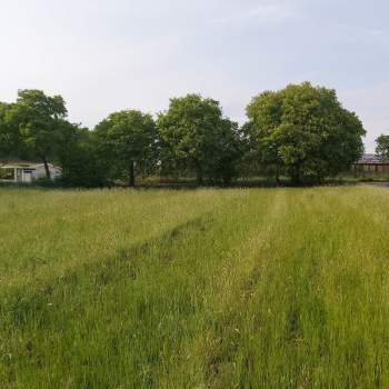 Terreno in vendita a Polpenazze del Garda (Brescia)