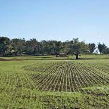 Terreno in vendita a Gavardo (Brescia)