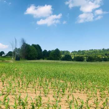 Terreno in vendita a Gavardo (Brescia)