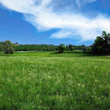 Terreno in vendita a Calcinato (Brescia)