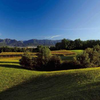 Terreno in vendita a Giavera del Montello (Treviso)