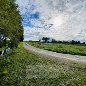 Terreno in vendita a Borgoricco (Padova)