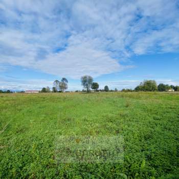 Terreno in vendita a Borgoricco (Padova)