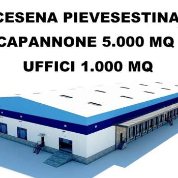 Capannone in vendita a Cesena (Forlì-Cesena)