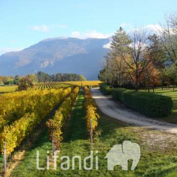 Rustico in vendita a Volano (Trento)