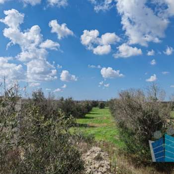 Rustico in vendita a Otranto (Lecce)