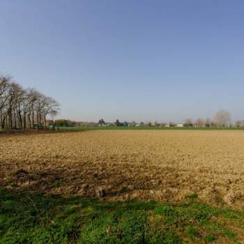 Terreno in vendita a Boara Pisani (Padova)