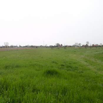 Terreno in vendita a San Pietro Viminario (Padova)