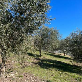 Terreno in vendita a Arquà Petrarca (Padova)