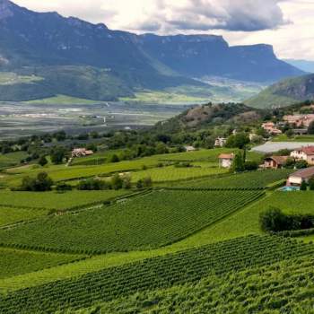 Appartamento in vendita a Montagna/Montan (Bolzano/Bozen)