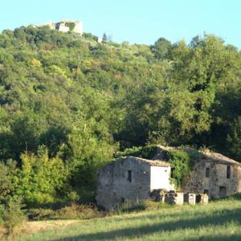 Casa singola in vendita a Collazzone (Perugia)