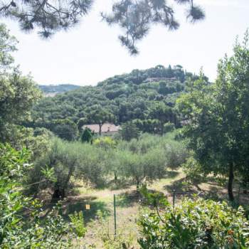 Terreno in vendita a Corciano (Perugia)