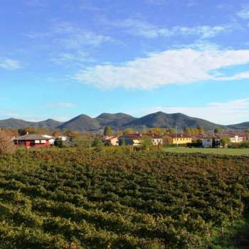 Terreno in vendita a Galzignano Terme (Padova)