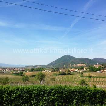 Terreno in vendita a Vo' (Padova)