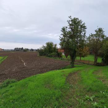 Terreno in vendita a Rovigo (Rovigo)