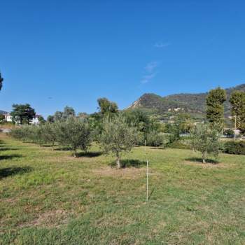 Terreno in vendita a Baone (Padova)