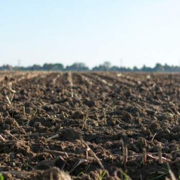 Terreno in vendita a Borgo Veneto (Padova)