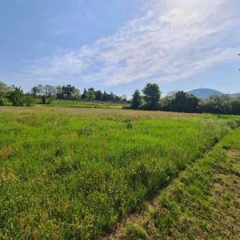 Terreno in vendita a Vo' (Padova)