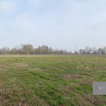 Terreno in vendita a San Giorgio in Bosco (Padova)