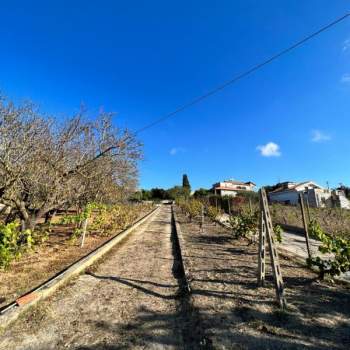 Villa in vendita a Sassari (Sassari)