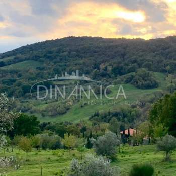 Terreno in vendita a Pomarance (Pisa)