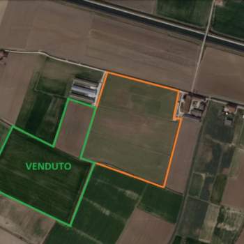 Terreno in vendita a Cologna Veneta (Verona)