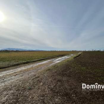 Terreno in vendita a Orbetello (Grosseto)