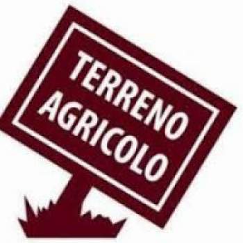 Terreno in vendita a Loreo (Rovigo)