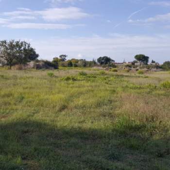 Terreno in vendita a Nettuno (Roma)