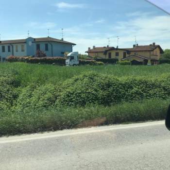 Terreno in vendita a Pegognaga (Mantova)