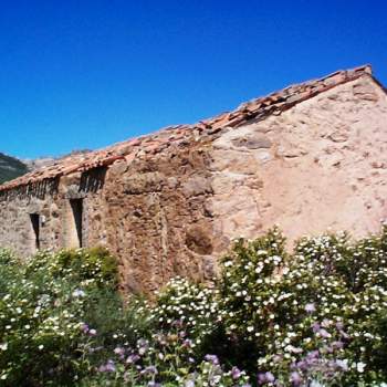 Terreno in vendita a Olbia (Sassari)