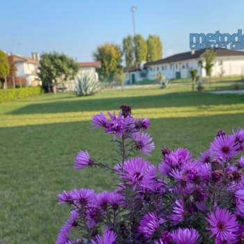 Terreno in vendita a Villadose (Rovigo)