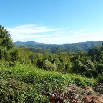 Terreno in vendita a Badia Calavena (Verona)