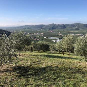 Terreno in vendita a Tregnago (Verona)