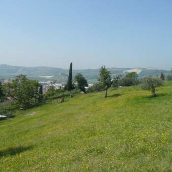 Terreno in vendita a Tregnago (Verona)