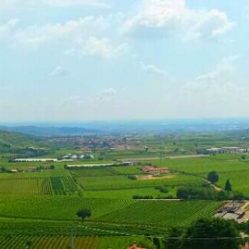 Terreno in vendita a Tregnago (Verona)