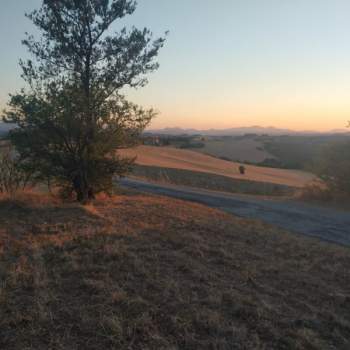 Terreno in vendita a Agugliano (Ancona)