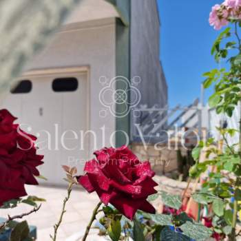 Casa singola in vendita a Matino (Lecce)